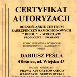 Pesla Dariusz Auto-Serwis